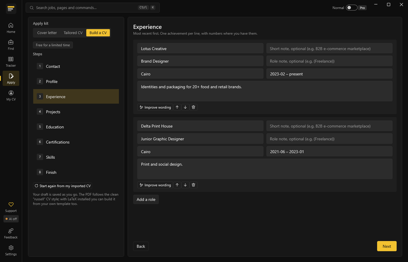 CV builder experience step